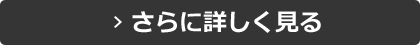 さらに詳しく見る